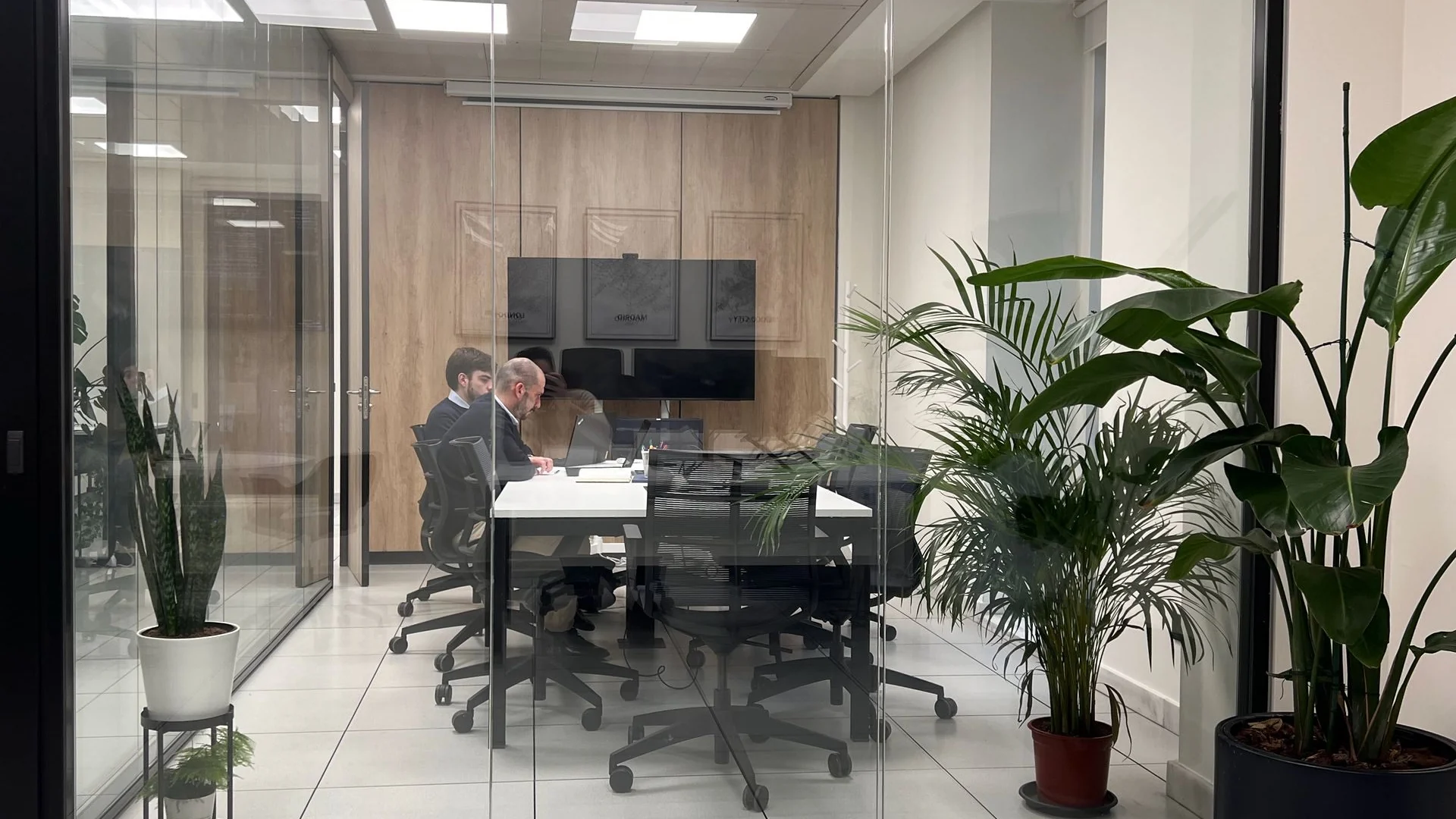 Sala de reuniones acristalada con plantas en la oficina de Madrid